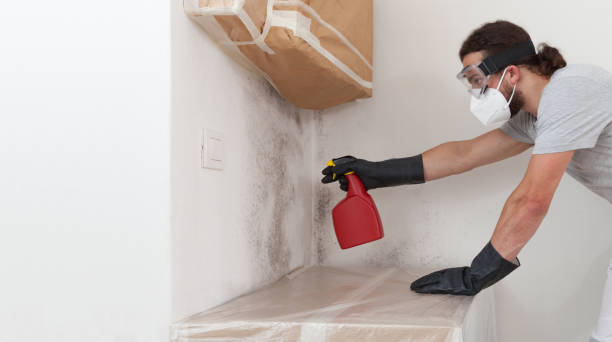 Professional Mold Testing technician working in Mantua, NJ